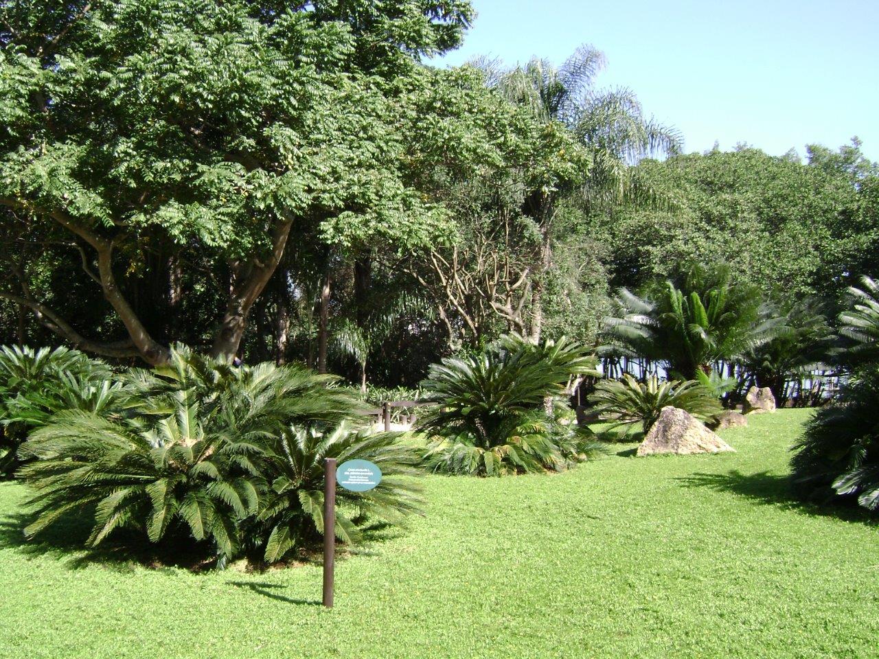 PARQUE AMBIENTAL MELLO BARRETO