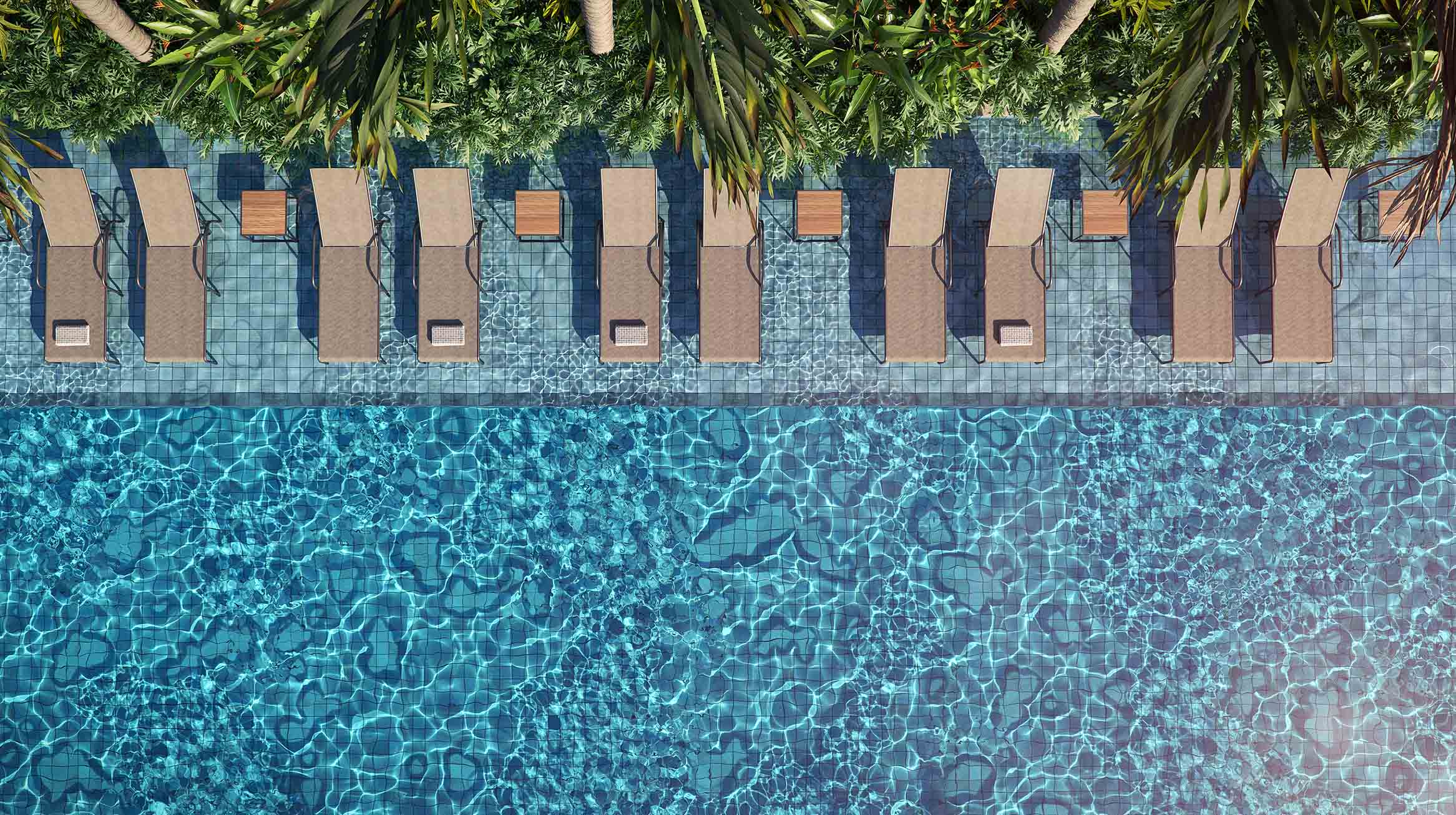 Perspectiva ilustrada da Piscina Adulto